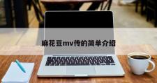 麻花豆mv传的简单介绍