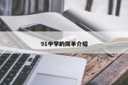 91中学的简单介绍